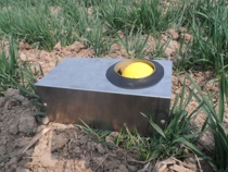 Pachinko Working Dog Training Pinball