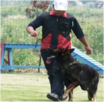 Training Red-shouldered Vest Dog Training Supplies Bite Suit Dog Training for Working Dogs