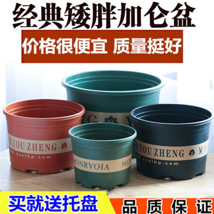 Small Potted Dwarf Fat Gallon Basin Special Price Clear Bin Resin Plastic Special Stage Color Makeup Bamboo Burn Collection