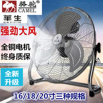 Watson Camel Electric Fan Fan Floor Fan Desktop Household Floor Fan Powerful Industrial Fan Climbing Fan Mechanical Floor Fan