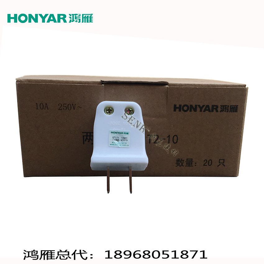 Promotion Hongyan national standard two-eye plug socket power supply 2 eyes two feet two pole 250V10A plug T2-10