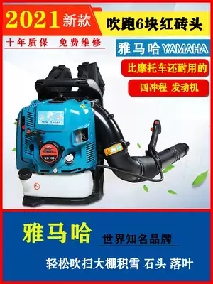 Jinshan Mountain Leaf Gasoline Hair Dryer Greenhouse Four Blows Snow Blowing Machine Road Cleaning Road Blowing Leaf Construction Site Blowing