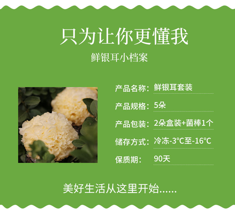 古松古田新鲜银耳带菌棒5朵装500g