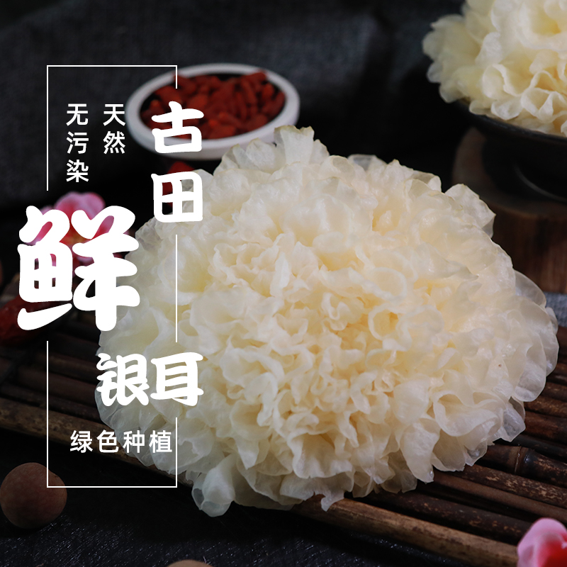 古松 新鲜银耳 白木耳鲜活雪耳 6朵共700g 双重优惠折后￥18.97顺丰包邮