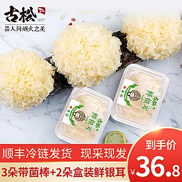 古松古田新鲜银耳带菌棒5朵装500g[7元优惠券]-寻折猪