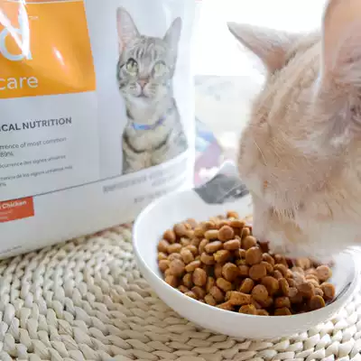 进口hills希尔思cd猫粮250g试吃装维护泌尿尿路结石成幼猫猫粮