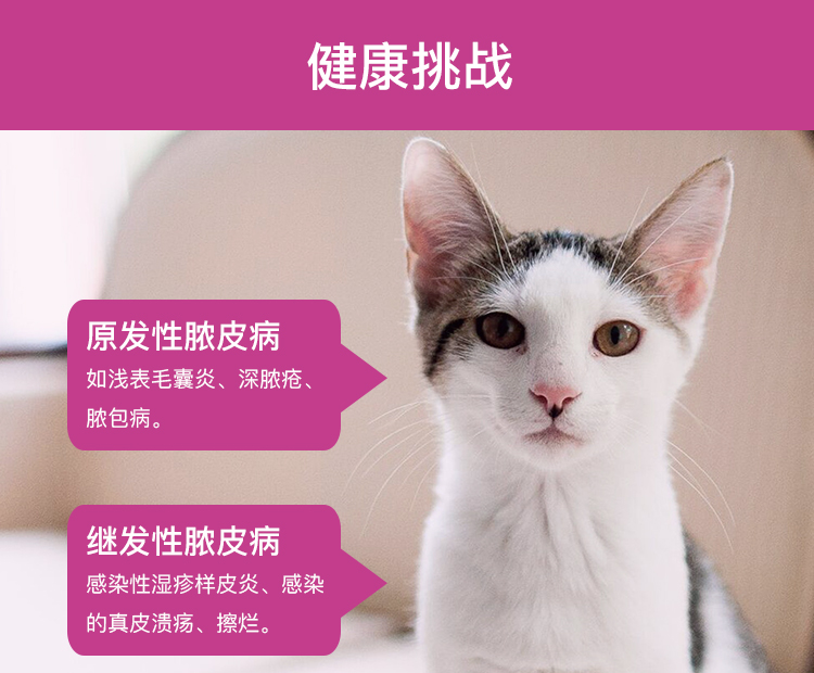 Mei Shi Meikang làm tổn thương thú cưng để giết vết thương cầm máu phun thuốc khử trùng chống nhiễm trùng chó mèo cắn vết thương chữa lành - Cat / Dog Medical Supplies 	các loại kim tiêm trong thú y	
