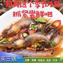 Yancheng drunken shrimp instant raw choking small white shrimp raw pickled small green shrimp fresh shrimp instant seafood drunk white rice shrimp