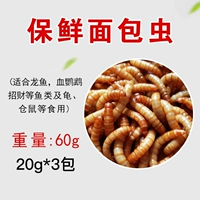 60G -пробная сумка (подходит для потребления крупной и большой рыбы)