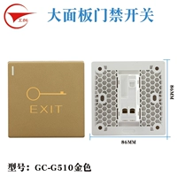 Big Panel Gold Switch