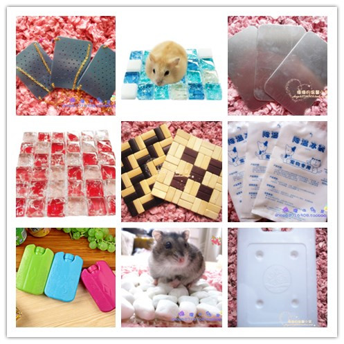 Full 38 hamster golden bear supplies summer heat dissipation cooling sheet ice plate ice pad ice bag ice box