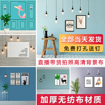 Live broadcast anchor Net Red fast hand photo background cloth 3d photography shooting live room decoration ins layout background wall