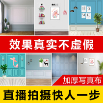 Live broadcast anchor Net Red fast hand photo background cloth 3d photography shooting live room decoration ins layout background wall