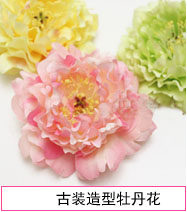 Extension cheveux - Chignon - Ref 229237 Image 17