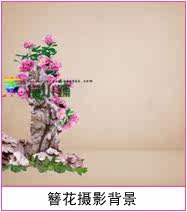 Extension cheveux - Chignon - Ref 236053 Image 11