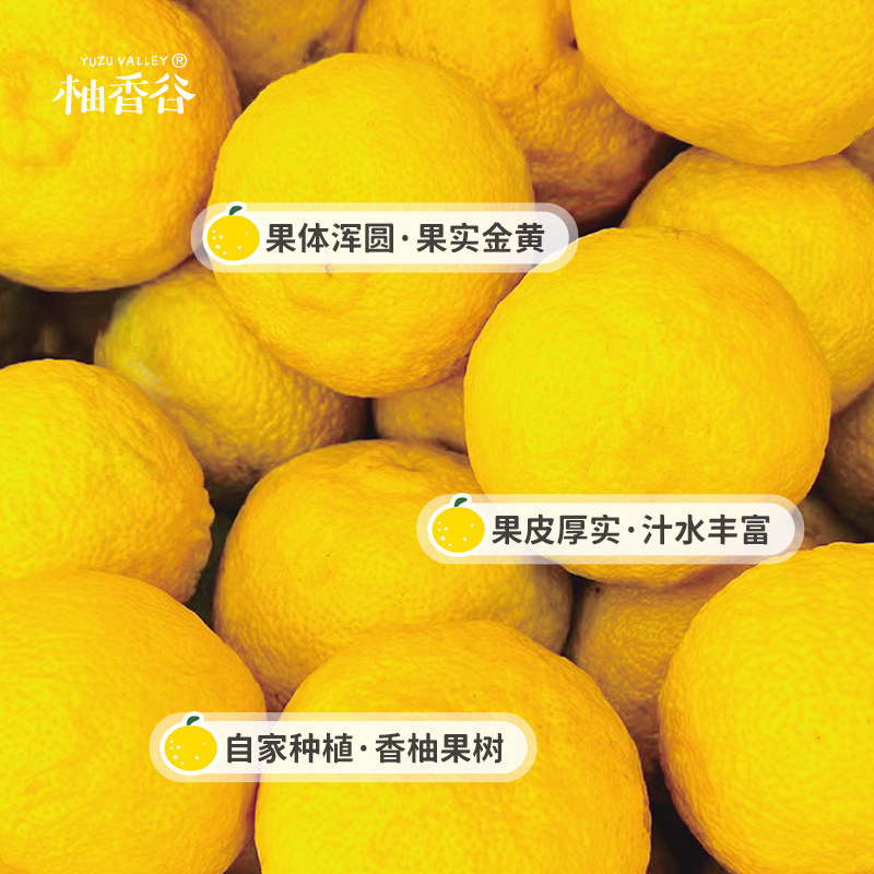 Yuzu Juice Drink with Double Grapefruit Flavor, Large Bottle, Scented Grapefruit Juice Beverage, Song Grapefruit Juice, 1L*6 Bottles, Yuzu Whole Box