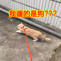 Cat towing rope anti-Break Free Walking cat rope slipping cat artifact cat rope cat traction dog leash dog chain supplies