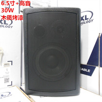 Guangxin Airbus TM-717B supermarket school meeting tweeter speaker amplifier background music wall mounted Audio