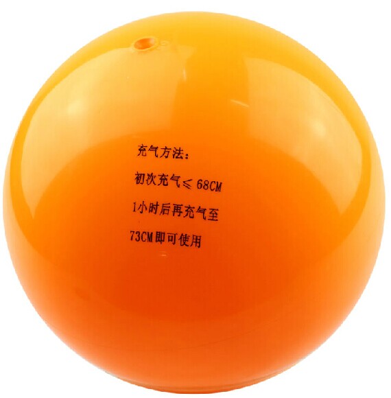 Ballon de volley - Ref 2013585 Image 3