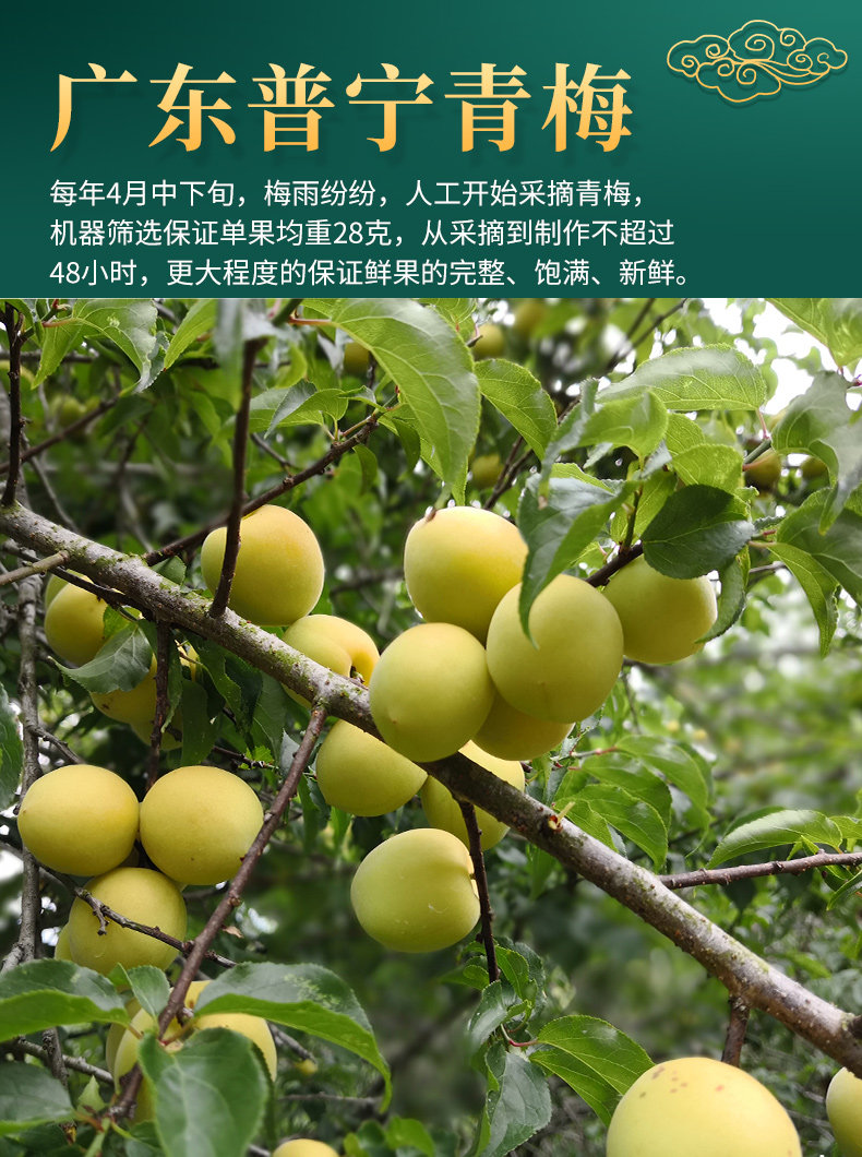 农夫山庄 脆爽青梅果干 500g大瓶装 图4