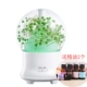 Yongsheng hoa hương liệu máy làm ẩm nhà phòng ngủ cắm vào tinh dầu đầy màu sắc tinh dầu phụ nữ mang thai câm phun nhỏ - Máy giữ ẩm