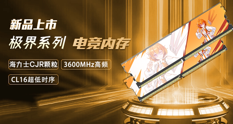 Модуль памяти Infantry Warrior 32GB Asian Silver