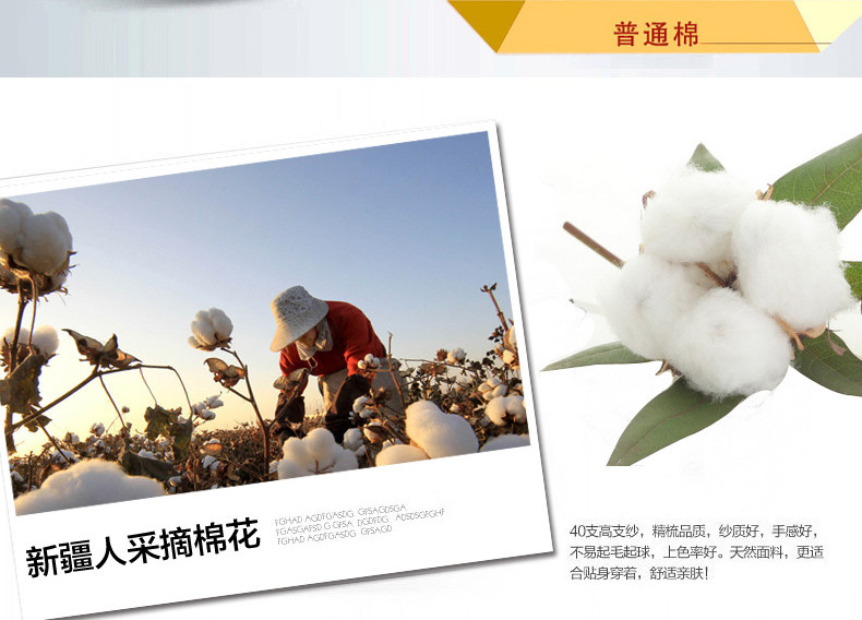 Pantalon collant Moyen-âge simple en coton - Ref 750403 Image 13