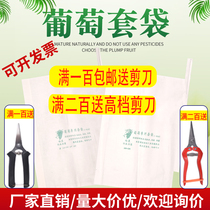 Grape bagging special paper bag Insect-proof and bird-proof fruit waterproof rain bag Fruit bag Lotus mist protection special bag cover