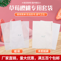 Cherries big cherries golden pears strawberries bagging net bags special bags bird-proof and insect-proof paper bags fruits citrus
