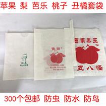 Citrus ugly orange baba Citrus loquat I dont know the fire Spring see guava special bagging paper bag Fruit bag packaging bag