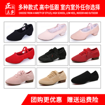Sansha dance shoes womens soft bottom practice shoes adult teachers with middle heel body belly national ballet shoes