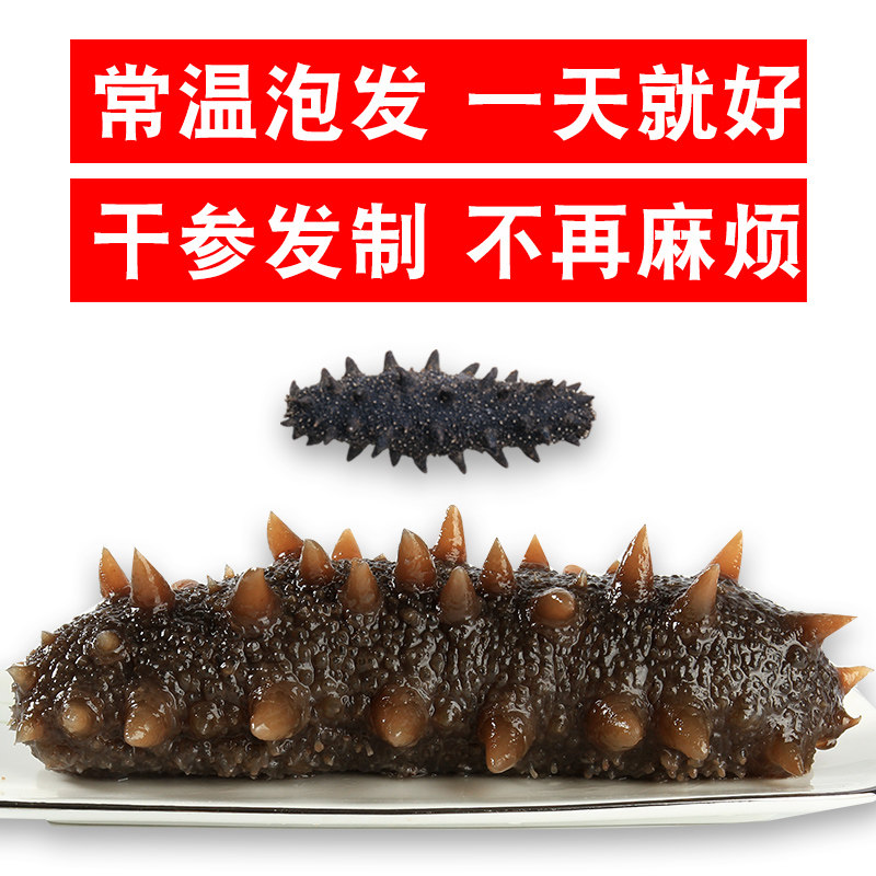 The normal temperature is free of cooking for 1 day (8-12 only) Dalian light dry sea cucumbers dry goods suitable for elderly pregnant women students