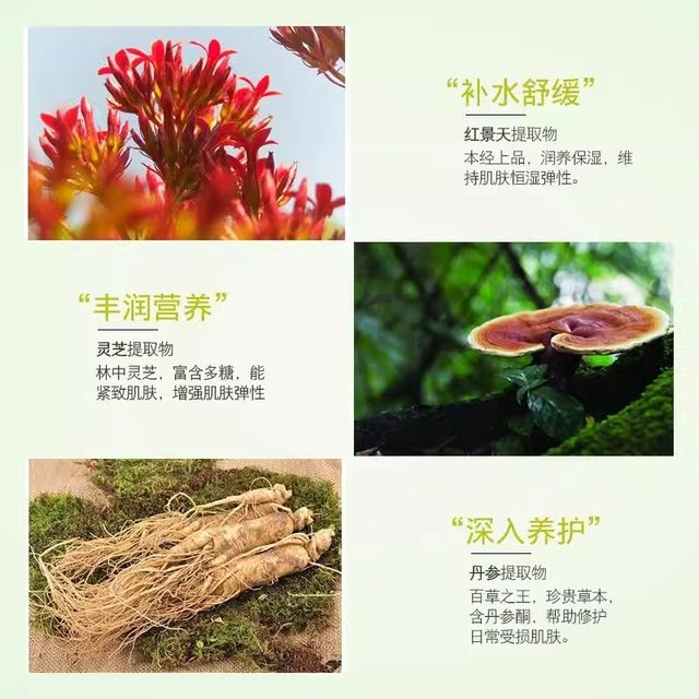 Sunscreen Repair Pechoin Hydrating Isolating Repair Cream Hydrating Moisturizing Isolating Moisturizing Official Authentic