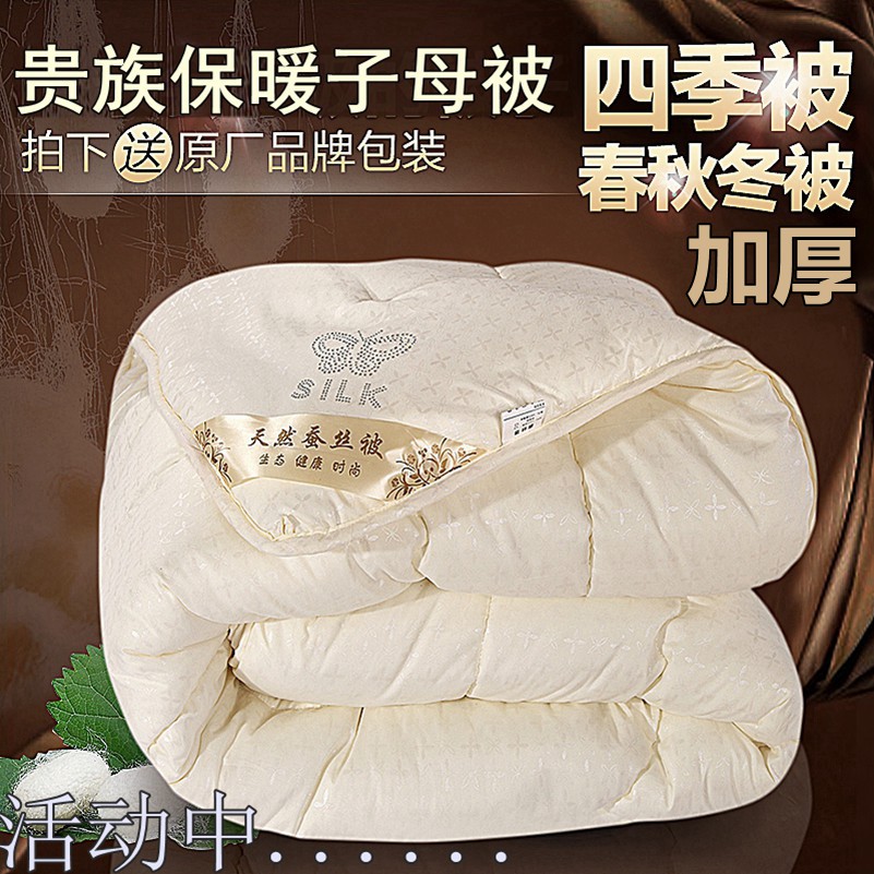 The aristocratic silk quilt is thickened all cotton Winter by Chunqiu quilts and quilts are two-in-one Tongxiang pure handmade mulberry silk 10 catty