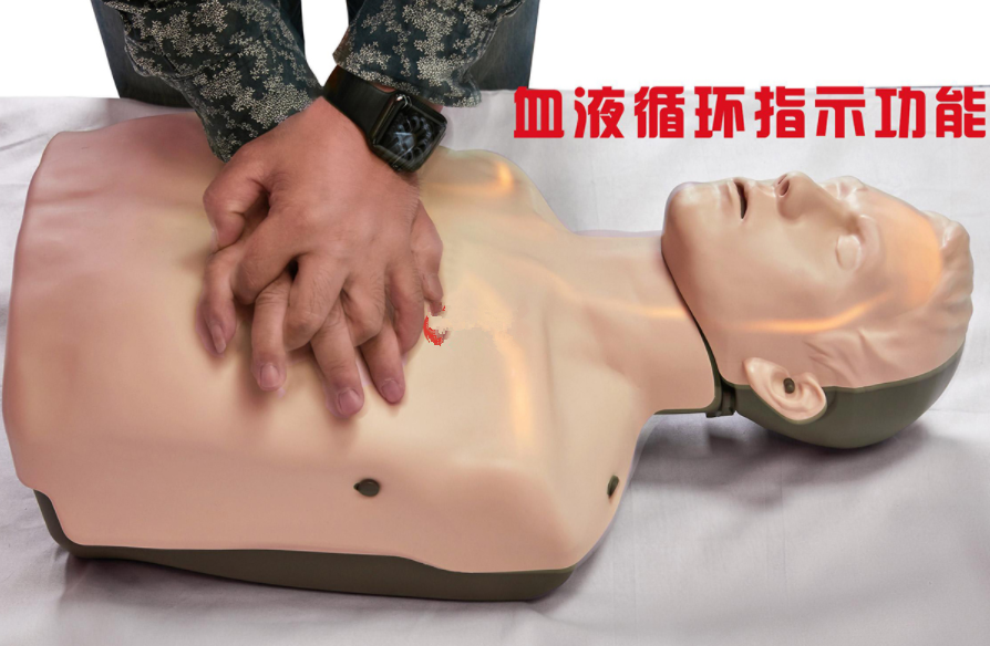 CPR180S血流可视化高级心肺复苏半身模拟人