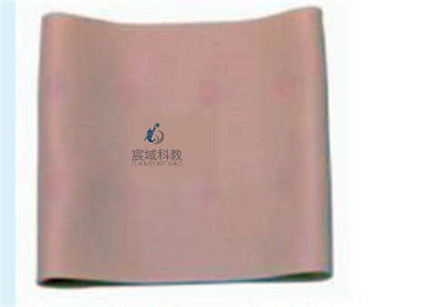 皮内注射外套静脉穿刺手臂外套模型胳膊手部护理练习模拟模具