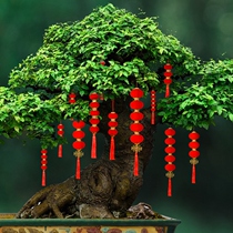 2022 Year of the Tiger Spring Festival New Year small Red Lantern string hanging ornaments outdoor indoor waterproof New Year decorations