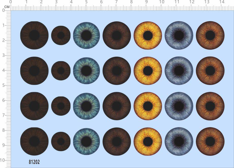 Model Man Puppet Doll Clay Human Eye Pearl Eyes (Universal Sign) Special Water Sticker (81202)