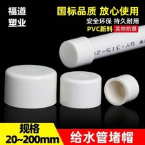 PVC water supply cap pipe plug plug cap cap plug head water pipe plastic 20 25 32 40 50 63