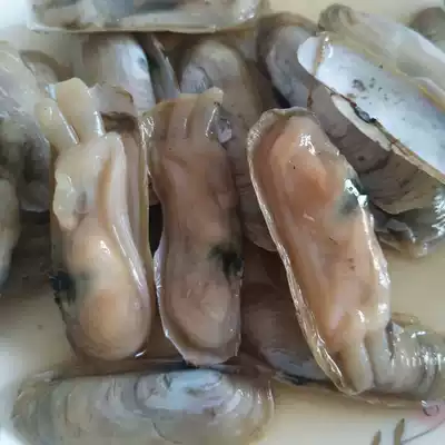 Wenzhou specialty Yueqing Puqi South China salted clam 300g instant