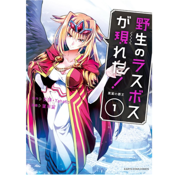 Pre-Release Brand New Japanese Original Manga: the Wild Final Boss Has Appeared! Volumes 1-11: Flame Head