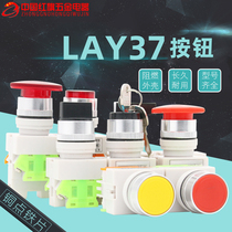 ZHUANGYIN SWITCH BUTTON LAY37 11BN FLAT BUTTON SELF-RESET SWITCHING POWER SUPPLY ROUND BUTTON BUTTON 22MM