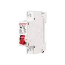 DZ47LE circuit breaker leakage air switch with earth leakage protector 1P2P3P 6A-63A