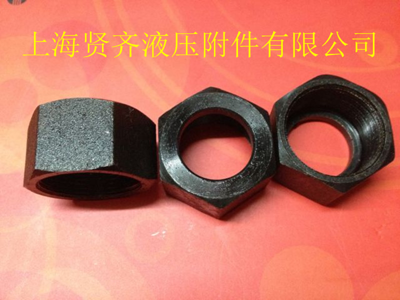 Iron Joint Tubing Joint Fluid Joint Hydraulic Carbon Steel Joint Marine Joints Welded Nuts 14