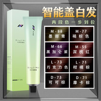 Hair Salon Special Single Branch Dye Cream Micro Tide Color Cover White Hair Dye Hair Salon No Ammonia Taste Dye Hair Cream One Step In Place