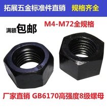 GB6170 high strength 8 8 grade nut hexagon nut black screw cap M2M3M4M5M6M8M10-M72