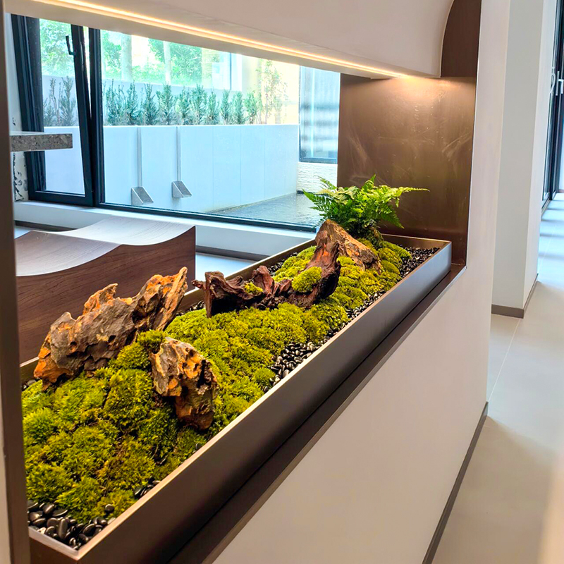 Chinese-Style Dry Landscape Landscaping, Long Strip Study Room, Tea Room, Zen-Inspired Creative Eternal Plants, Moss, Micro-Landscape in the Hallway