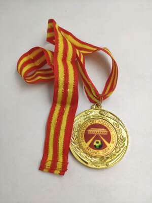 Значок Значка Значка Медаль Футбольного клуба 2010 года 2010