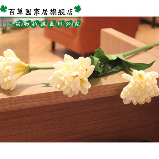 �ٲ�԰��֮��ž���滨