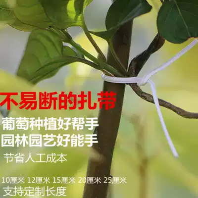 Galvanized iron tie wire 0 55 black flat white flat cable wire vine bracket tie wire coated iron core